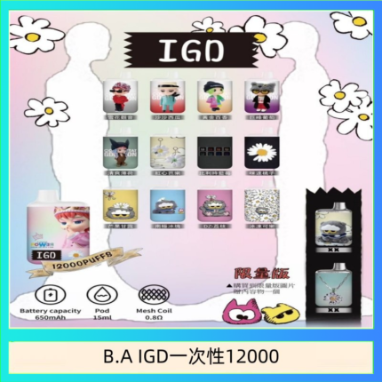 B.A IGD12000口 電子煙