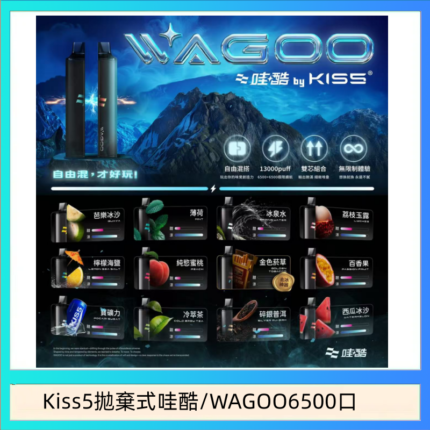 WAGOO哇酷Kiss5 6500口拋棄式 | 自由混搭雙口味 | 雙芯組合