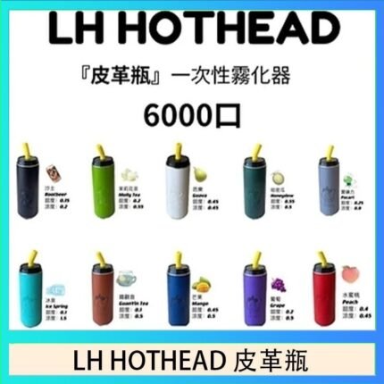 LH HOTHEAD皮革瓶電子煙可充電6000口一次性