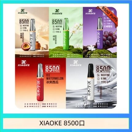 梟客XIAOKE一次性電子菸拋棄式8500口
